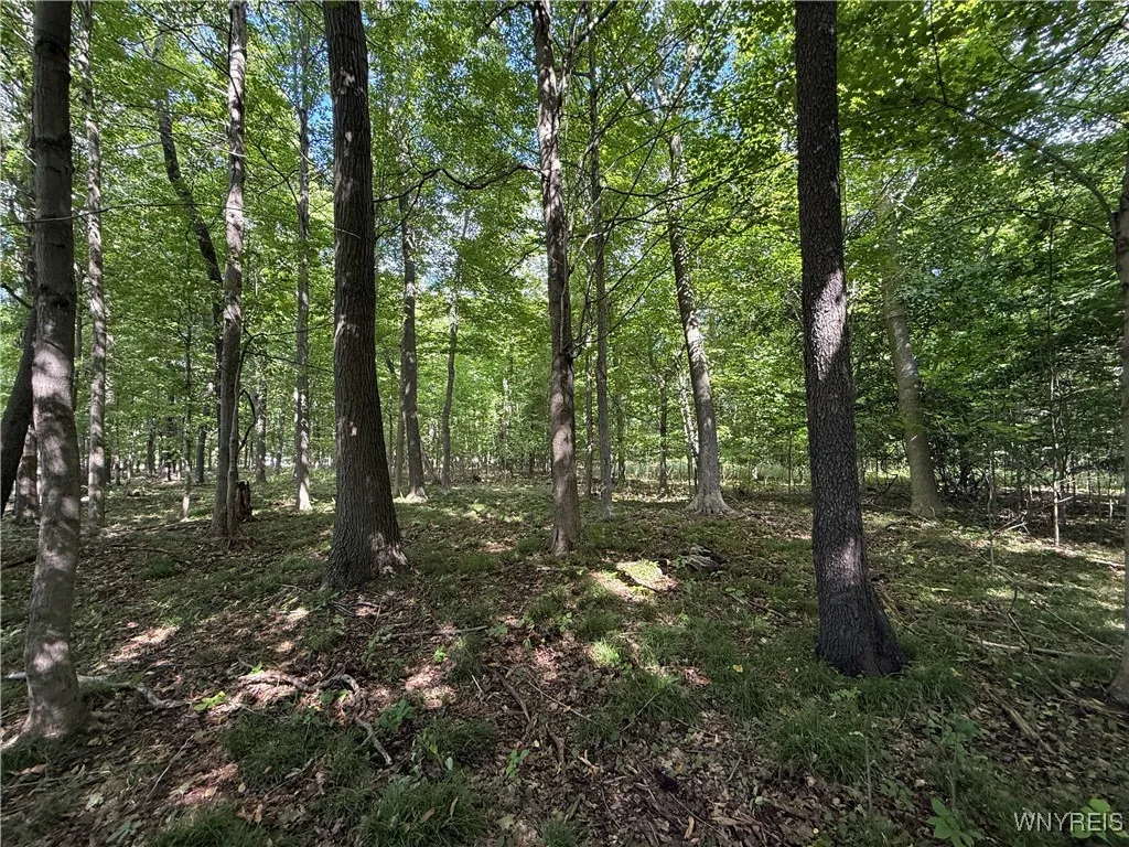 Jones Rd, Clarence, New York 14031, Clarence, New York 14031, ,Land,For Sale,Jones Rd, Clarence, New York 14031,0,B1637455