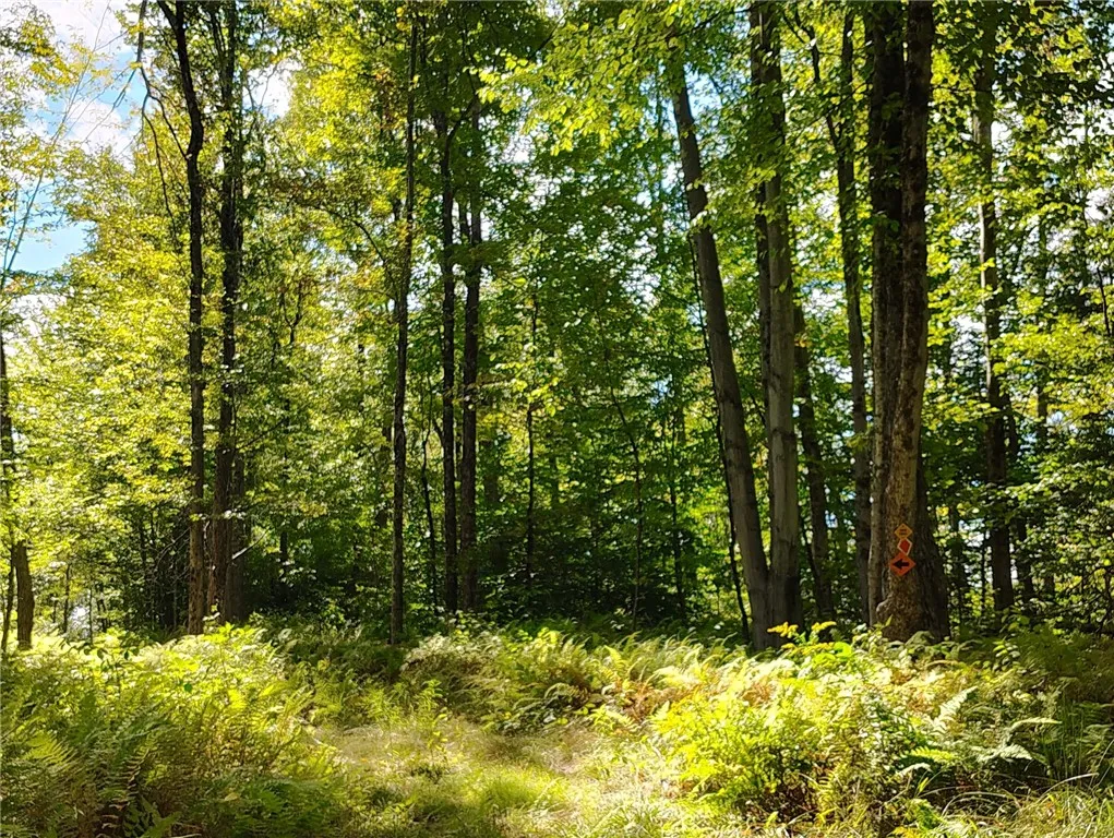 Great hunting and recreation land