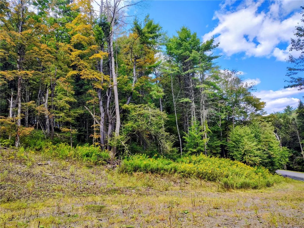 Great spot of Home site.