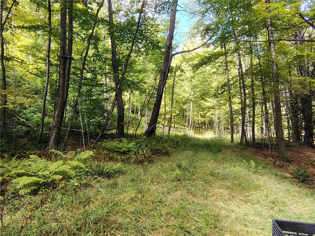 plenty of open trails for recreation