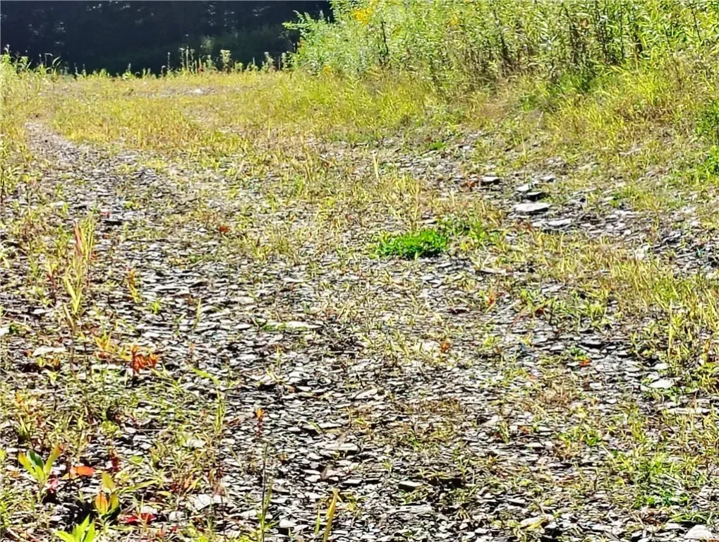 gravel driveway to flat landing for building site