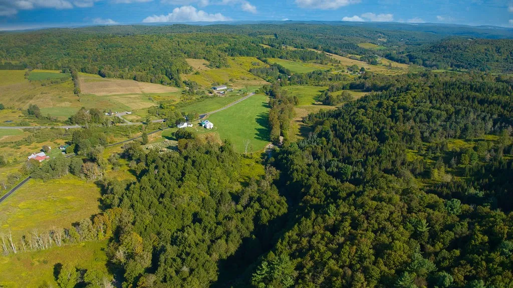 1022 Shapley Road, Guilford, New York 13733, Guilford, New York 13733, 7 Bedrooms Bedrooms, ,3 BathroomsBathrooms,Residential,For Sale,1022 Shapley Road, Guilford, New York 13733,0,R1637737