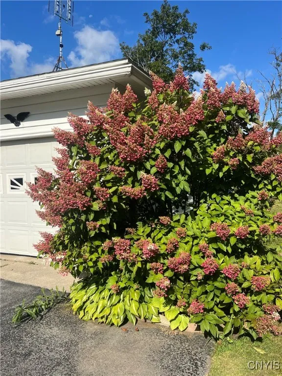 35 Grove Street, Adams, New York 13605, Adams, New York 13605, 3 Bedrooms Bedrooms, 8 Rooms Rooms,1 BathroomBathrooms,Residential,Closed,35 Grove Street, Adams, New York 13605,0,S1637866