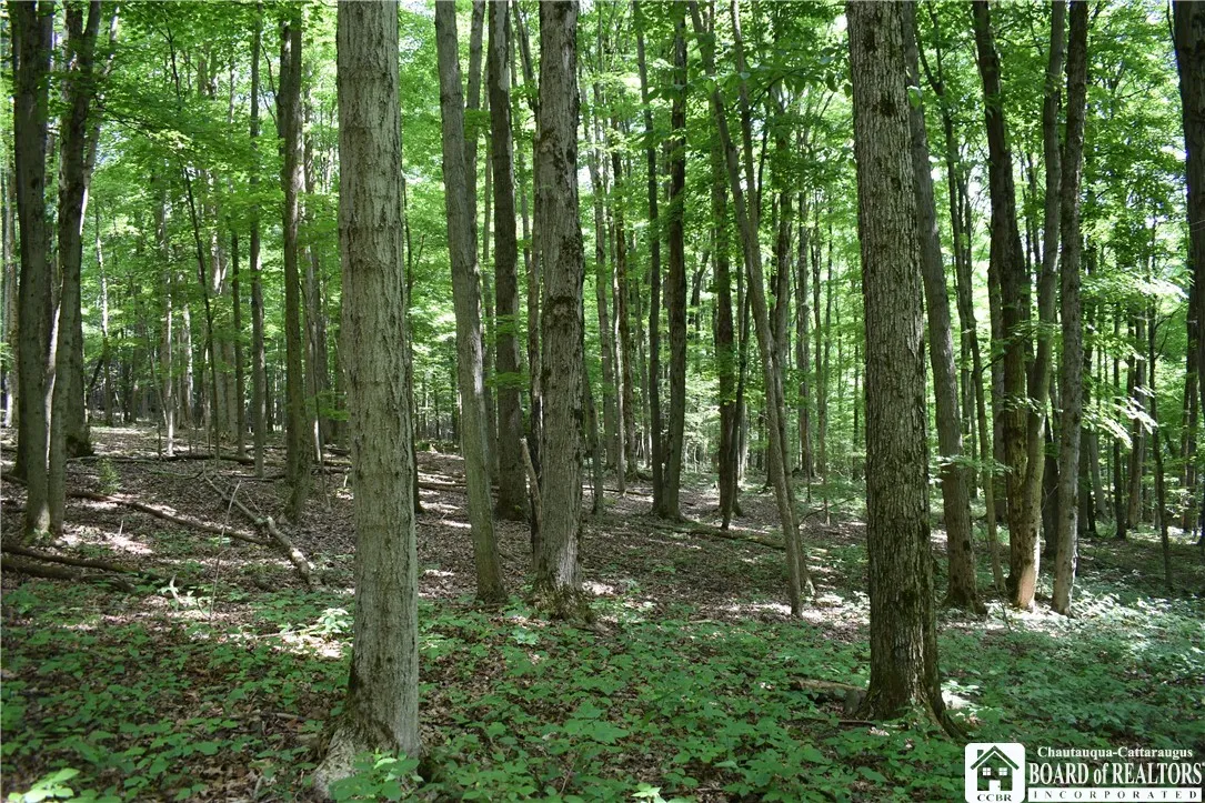 0 Cleland Road, Charlotte, New York 14723, Charlotte, New York 14723, ,Land,Closed,0 Cleland Road, Charlotte, New York 14723,0,R1637910