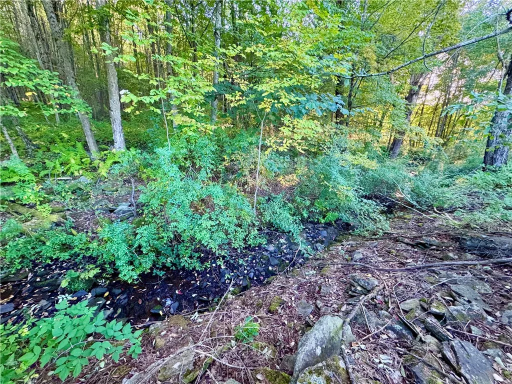 0 Campbell Road, Franklin, New York 13775, Franklin, New York 13775, ,Land,For Sale,0 Campbell Road, Franklin, New York 13775,0,R1634437