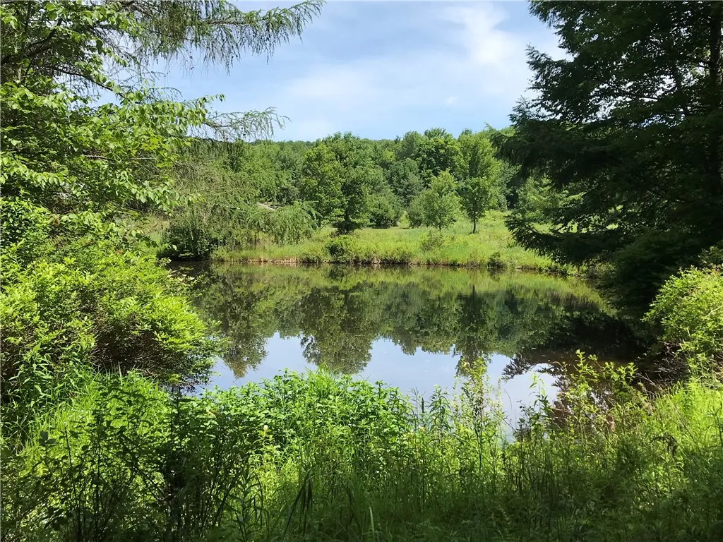 0 Campbell Road, Franklin, New York 13775, Franklin, New York 13775, ,Land,For Sale,0 Campbell Road, Franklin, New York 13775,0,R1634437