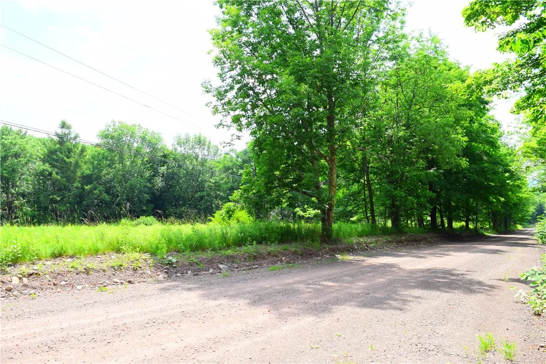 0 Campbell Road, Franklin, New York 13775, Franklin, New York 13775, ,Land,For Sale,0 Campbell Road, Franklin, New York 13775,0,R1634437