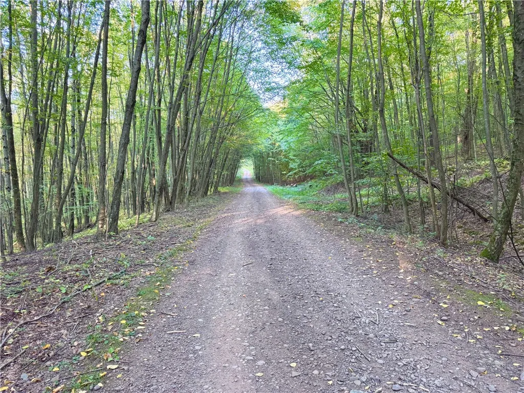 0 Campbell Road, Franklin, New York 13775, Franklin, New York 13775, ,Land,For Sale,0 Campbell Road, Franklin, New York 13775,0,R1634437