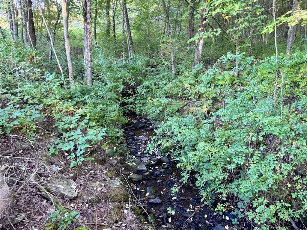 0 Campbell Road, Franklin, New York 13775, Franklin, New York 13775, ,Land,For Sale,0 Campbell Road, Franklin, New York 13775,0,R1634437