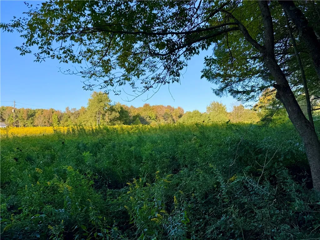 0 Campbell Road, Franklin, New York 13775, Franklin, New York 13775, ,Land,For Sale,0 Campbell Road, Franklin, New York 13775,0,R1634437