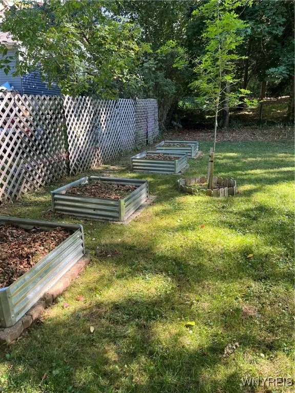 Back yard