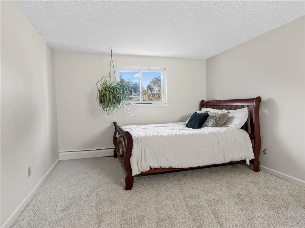guest room with new carpet and fresh paint