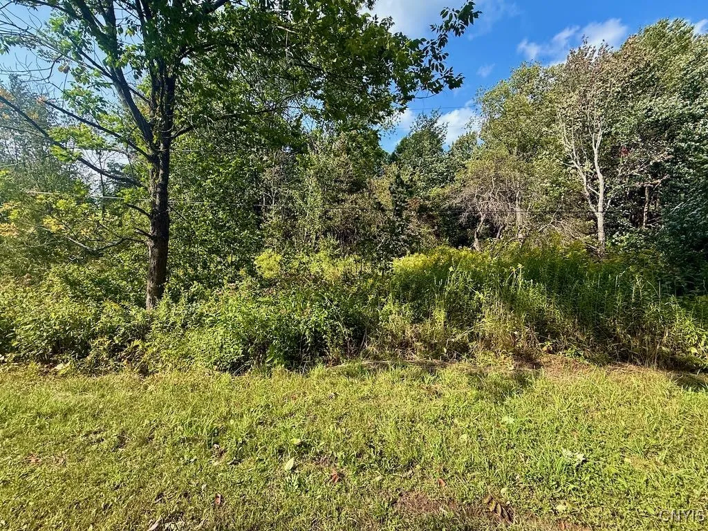 355 New Scriba Drive, Orwell, New York 13144, Orwell, New York 13144, ,Land,For Sale,355 New Scriba Drive, Orwell, New York 13144,0,S1637498