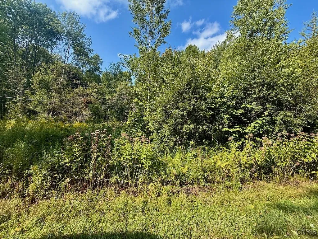 355 New Scriba Drive, Orwell, New York 13144, Orwell, New York 13144, ,Land,For Sale,355 New Scriba Drive, Orwell, New York 13144,0,S1637498