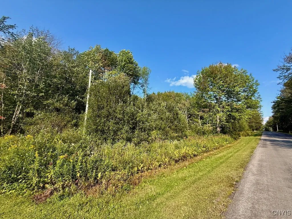 355 New Scriba Drive, Orwell, New York 13144, Orwell, New York 13144, ,Land,For Sale,355 New Scriba Drive, Orwell, New York 13144,0,S1637498