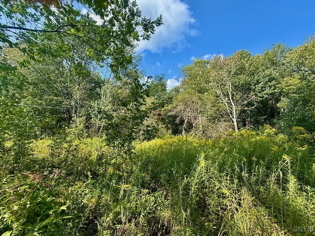 355 New Scriba Drive, Orwell, New York 13144, Orwell, New York 13144, ,Land,For Sale,355 New Scriba Drive, Orwell, New York 13144,0,S1637498