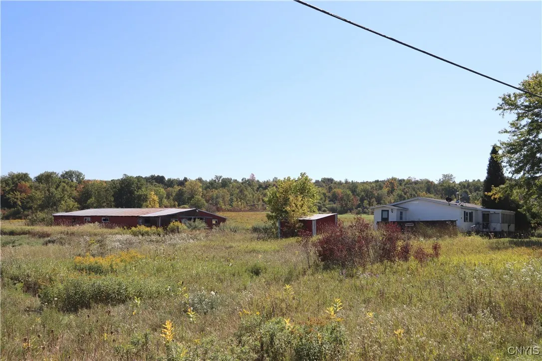 40294 Hull Road, Antwerp, New York 13673, Antwerp, New York 13673, 2 Bedrooms Bedrooms, ,2 BathroomsBathrooms,Land,For Sale,40294 Hull Road, Antwerp, New York 13673,0,S1638344