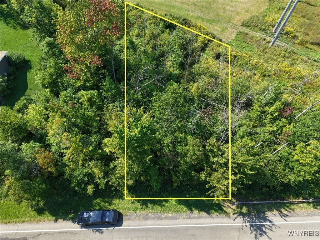 5052 Electric Avenue, Hamburg, New York 14075, Hamburg, New York 14075, ,Land,Closed,5052 Electric Avenue, Hamburg, New York 14075,0,B1636888