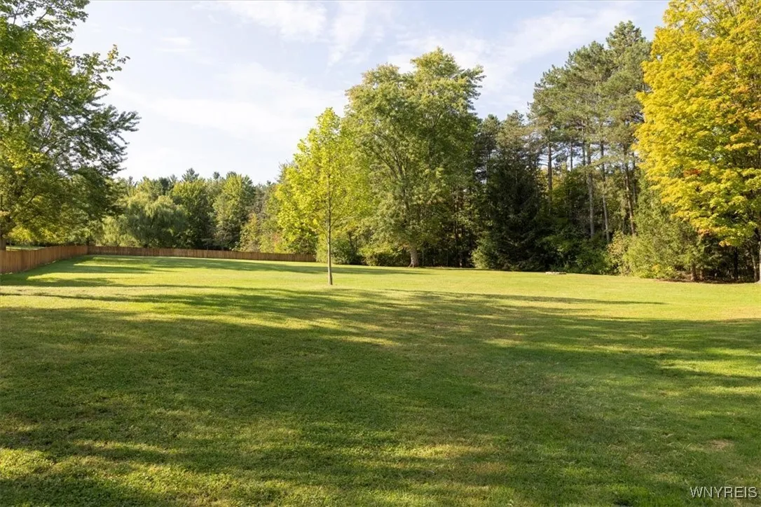 BEAUTIFUL LAWN