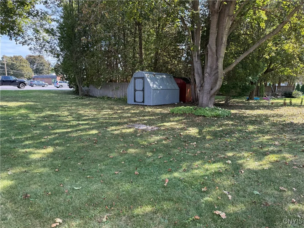 Rear yard with shed