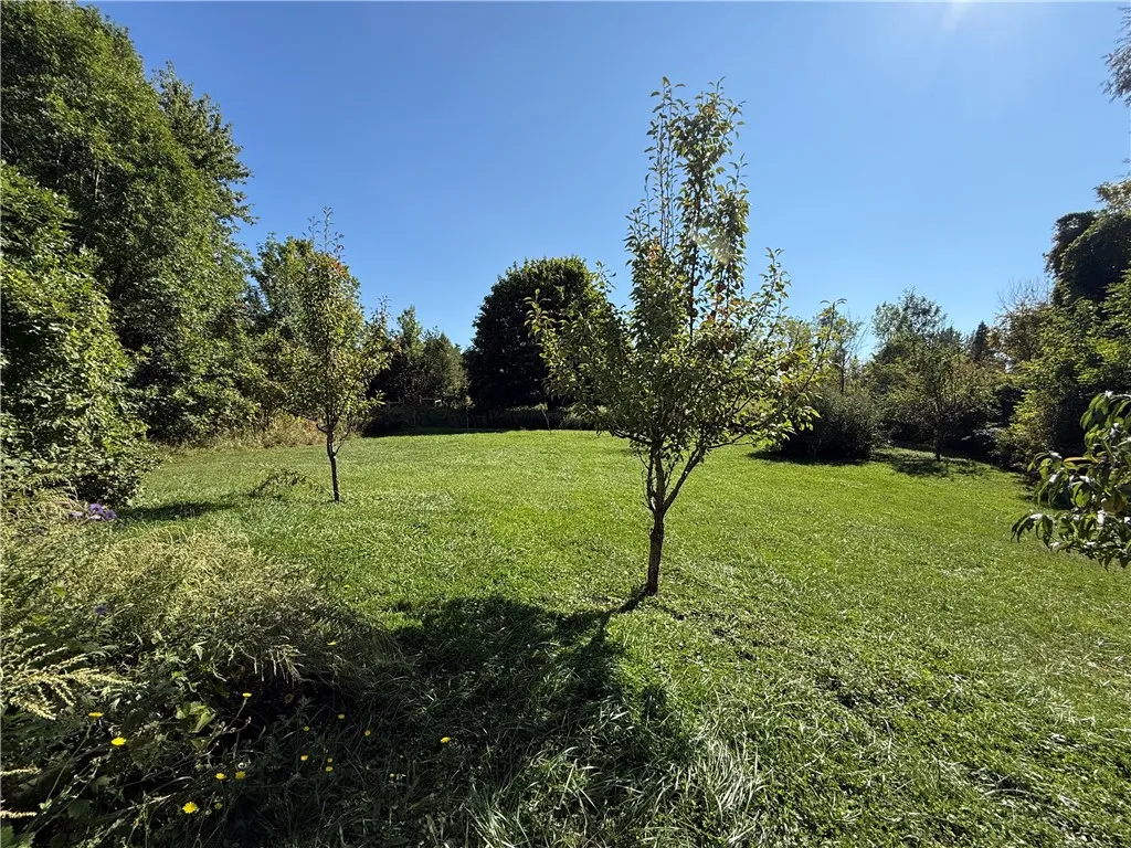 111 Shumway Road, Sweden, New York 14420, Sweden, New York 14420, 3 Bedrooms Bedrooms, 8 Rooms Rooms,1 BathroomBathrooms,Residential,For Sale,111 Shumway Road, Sweden, New York 14420,0,R1638218
