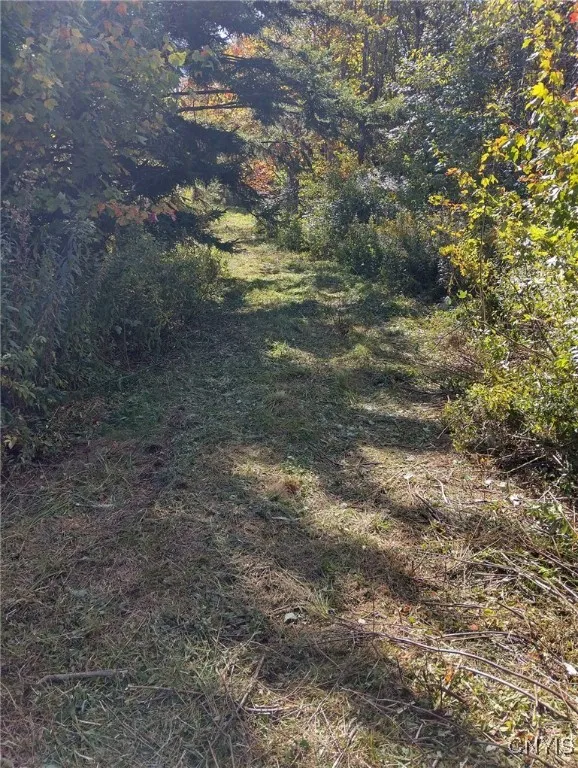 1991 Kotary Road, Lewis, New York 13325, Lewis, New York 13325, 1 Bedroom Bedrooms, ,1 BathroomBathrooms,Land,For Sale,1991 Kotary Road, Lewis, New York 13325,0,S1638539
