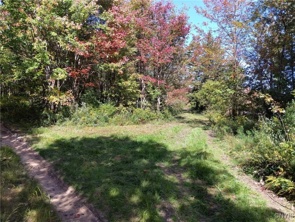 1991 Kotary Road, Lewis, New York 13325, Lewis, New York 13325, 1 Bedroom Bedrooms, ,1 BathroomBathrooms,Land,For Sale,1991 Kotary Road, Lewis, New York 13325,0,S1638539