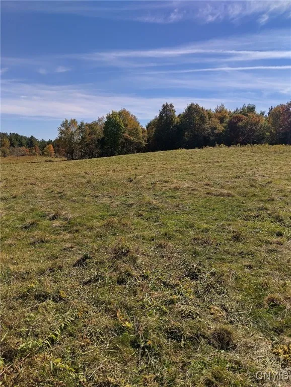 1991 Kotary Road, Lewis, New York 13325, Lewis, New York 13325, 1 Bedroom Bedrooms, ,1 BathroomBathrooms,Land,For Sale,1991 Kotary Road, Lewis, New York 13325,0,S1638539