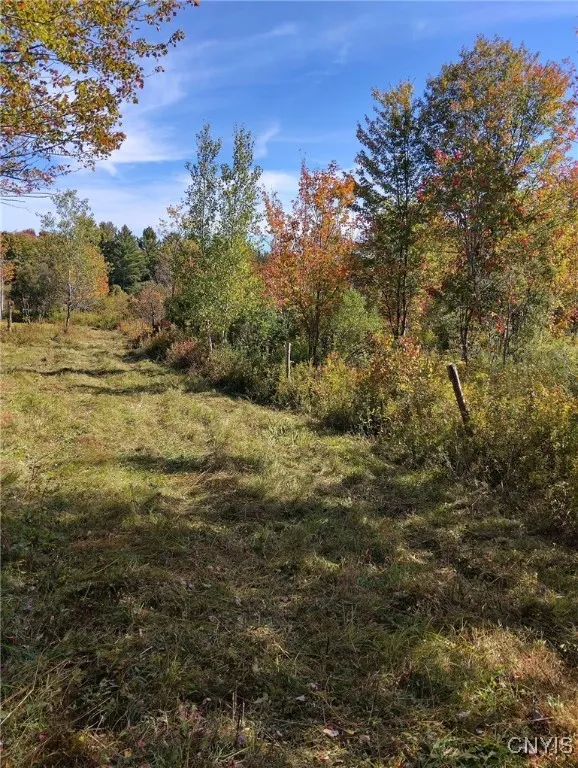 1991 Kotary Road, Lewis, New York 13325, Lewis, New York 13325, 1 Bedroom Bedrooms, ,1 BathroomBathrooms,Land,For Sale,1991 Kotary Road, Lewis, New York 13325,0,S1638539