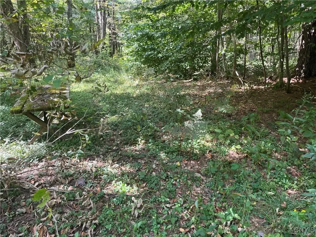 Waterbury Road, Redfield, New York 13437, Redfield, New York 13437, ,Land,For Sale,Waterbury Road, Redfield, New York 13437,0,S1638580