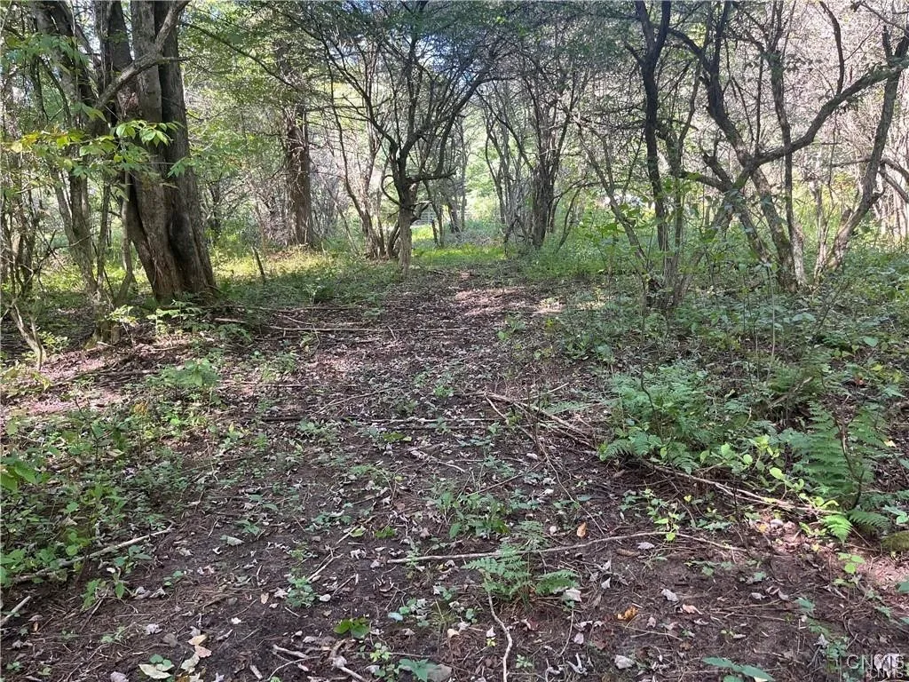 Waterbury Road, Redfield, New York 13437, Redfield, New York 13437, ,Land,For Sale,Waterbury Road, Redfield, New York 13437,0,S1638580