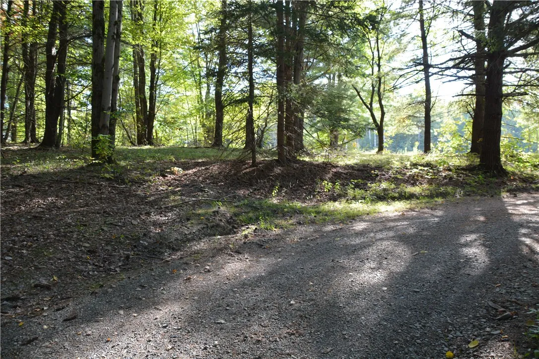 2048 Swartwood Hill Road, Erin, New York 14838, Erin, New York 14838, 3 Bedrooms Bedrooms, 10 Rooms Rooms,2 BathroomsBathrooms,Residential,For Sale,2048 Swartwood Hill Road, Erin, New York 14838,0,R1638462