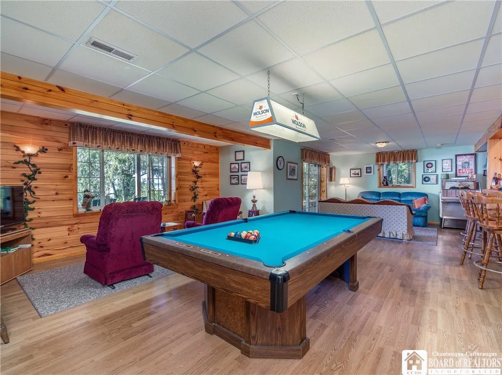 Basement Recreational room