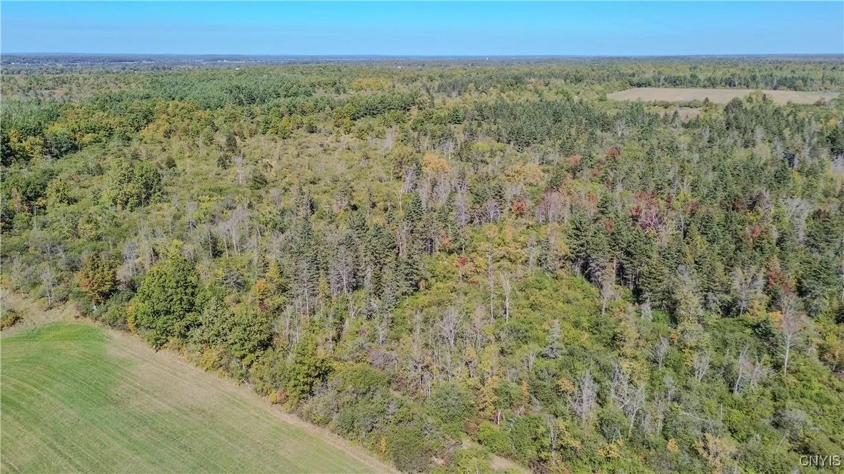 Wood Road, Clayton, New York 13624, Clayton, New York 13624, ,Land,For Sale,Wood Road, Clayton, New York 13624,0,S1636395