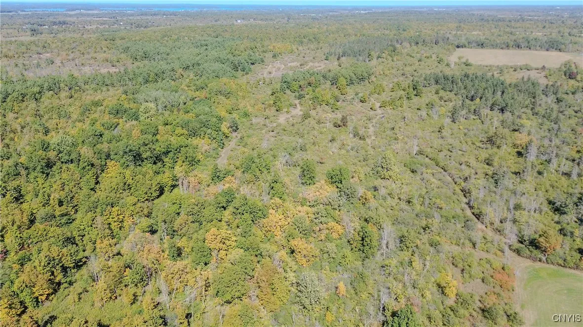 Wood Road, Clayton, New York 13624, Clayton, New York 13624, ,Land,For Sale,Wood Road, Clayton, New York 13624,0,S1636395