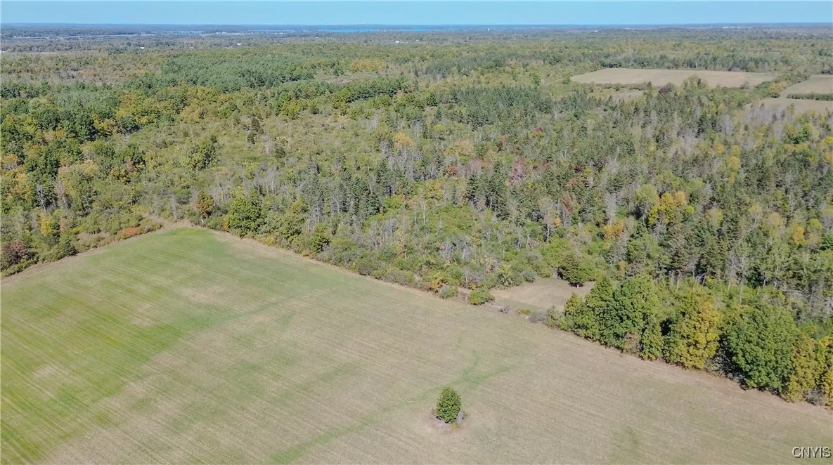 Wood Road, Clayton, New York 13624, Clayton, New York 13624, ,Land,For Sale,Wood Road, Clayton, New York 13624,0,S1636395