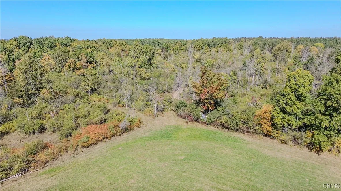 Wood Road, Clayton, New York 13624, Clayton, New York 13624, ,Land,For Sale,Wood Road, Clayton, New York 13624,0,S1636395