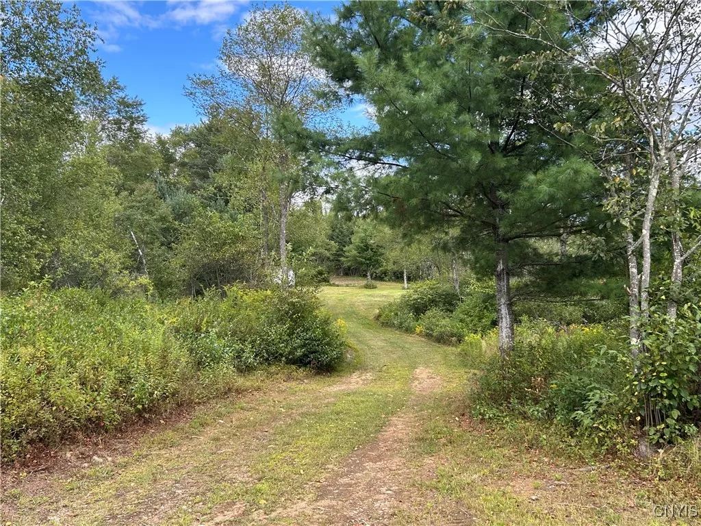1406 Gray Wilmurt Road, Ohio, New York 13324, Ohio, New York 13324, 2 Bedrooms Bedrooms, ,1 BathroomBathrooms,Land,For Sale,1406 Gray Wilmurt Road, Ohio, New York 13324,0,S1638128