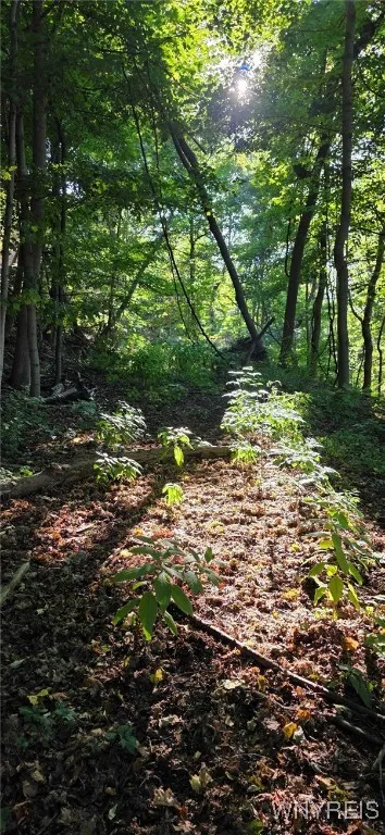 933 Creek Road Extension, Lewiston, New York 14092, Lewiston, New York 14092, 2 Bedrooms Bedrooms, 5 Rooms Rooms,1 BathroomBathrooms,Residential,For Sale,933 Creek Road Extension, Lewiston, New York 14092,0,B1638563
