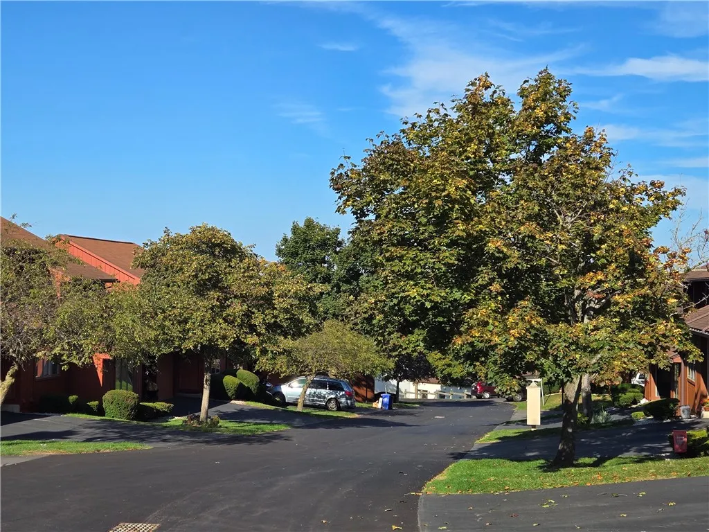 tree-lined private road