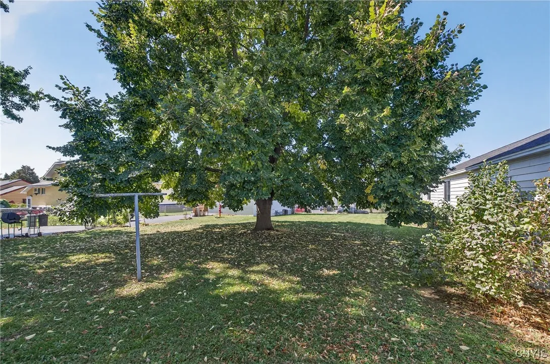 316 Colfax Ave, Dewitt, New York 13057, De Witt, New York 13057, 4 Bedrooms Bedrooms, 8 Rooms Rooms,2 BathroomsBathrooms,Residential,For Sale,316 Colfax Ave, Dewitt, New York 13057,0,S1638584