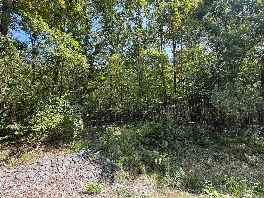 Upson Road, Big Flats, New York 14814, Big Flats, New York 14814, ,Land,For Sale,Upson Road, Big Flats, New York 14814,0,R1638101