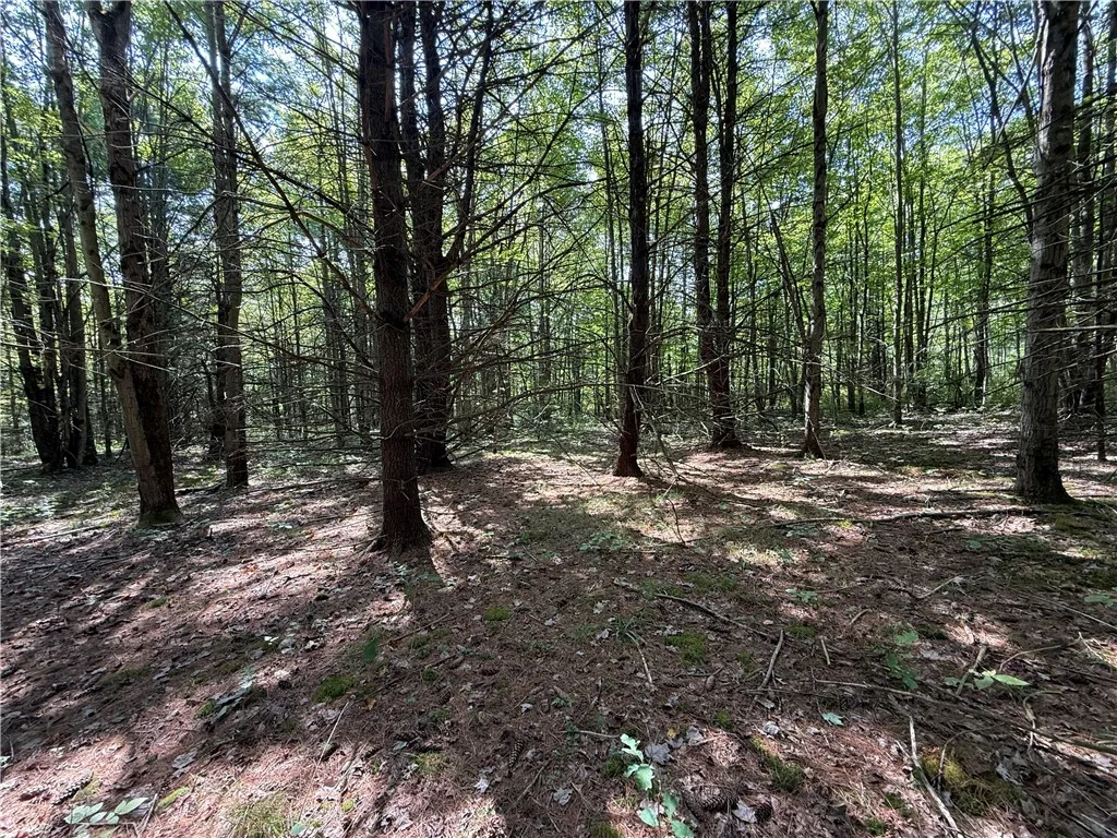 Upson Road, Big Flats, New York 14814, Big Flats, New York 14814, ,Land,For Sale,Upson Road, Big Flats, New York 14814,0,R1638101