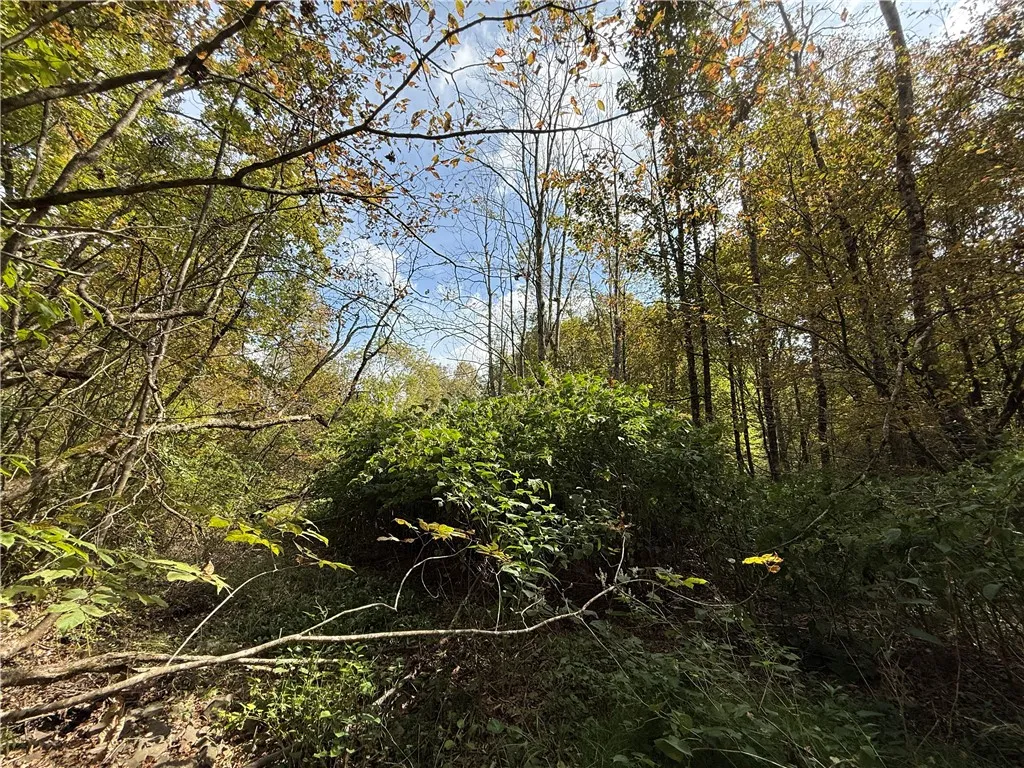 Melnyk Road, Candor, New York 13743, Candor, New York 13743, ,Land,For Sale,Melnyk Road, Candor, New York 13743,0,R1638280