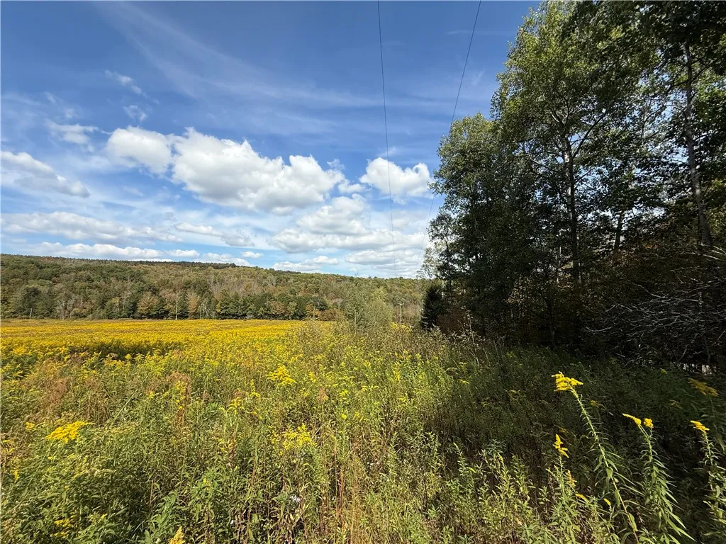 Melnyk Road, Candor, New York 13743, Candor, New York 13743, ,Land,For Sale,Melnyk Road, Candor, New York 13743,0,R1638280
