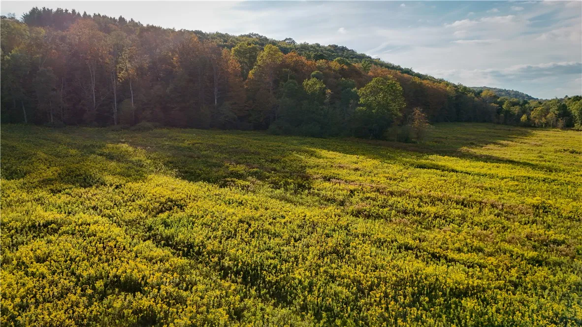 Melnyk Road, Candor, New York 13743, Candor, New York 13743, ,Land,For Sale,Melnyk Road, Candor, New York 13743,0,R1638280
