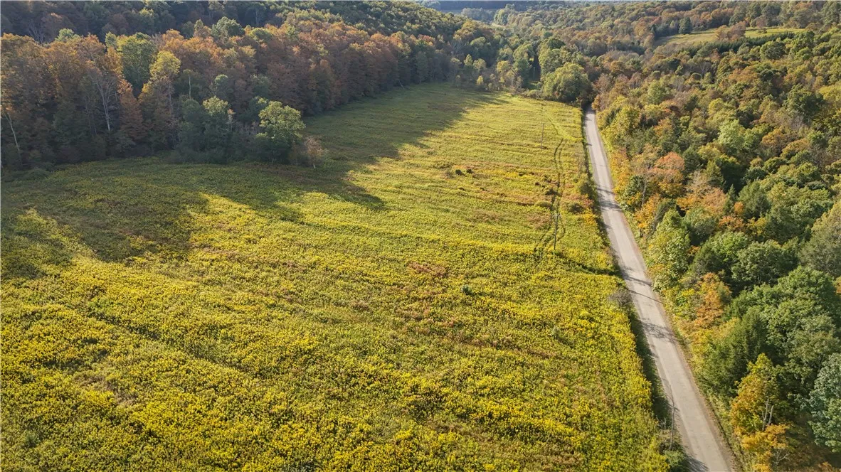 Melnyk Road, Candor, New York 13743, Candor, New York 13743, ,Land,For Sale,Melnyk Road, Candor, New York 13743,0,R1638280