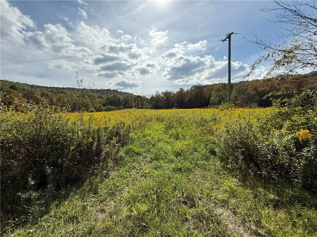 Melnyk Road, Candor, New York 13743, Candor, New York 13743, ,Land,For Sale,Melnyk Road, Candor, New York 13743,0,R1638280