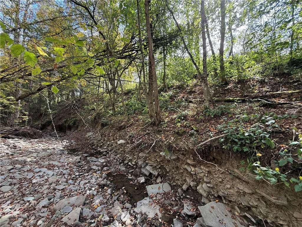 Melnyk Road, Candor, New York 13743, Candor, New York 13743, ,Land,For Sale,Melnyk Road, Candor, New York 13743,0,R1638280
