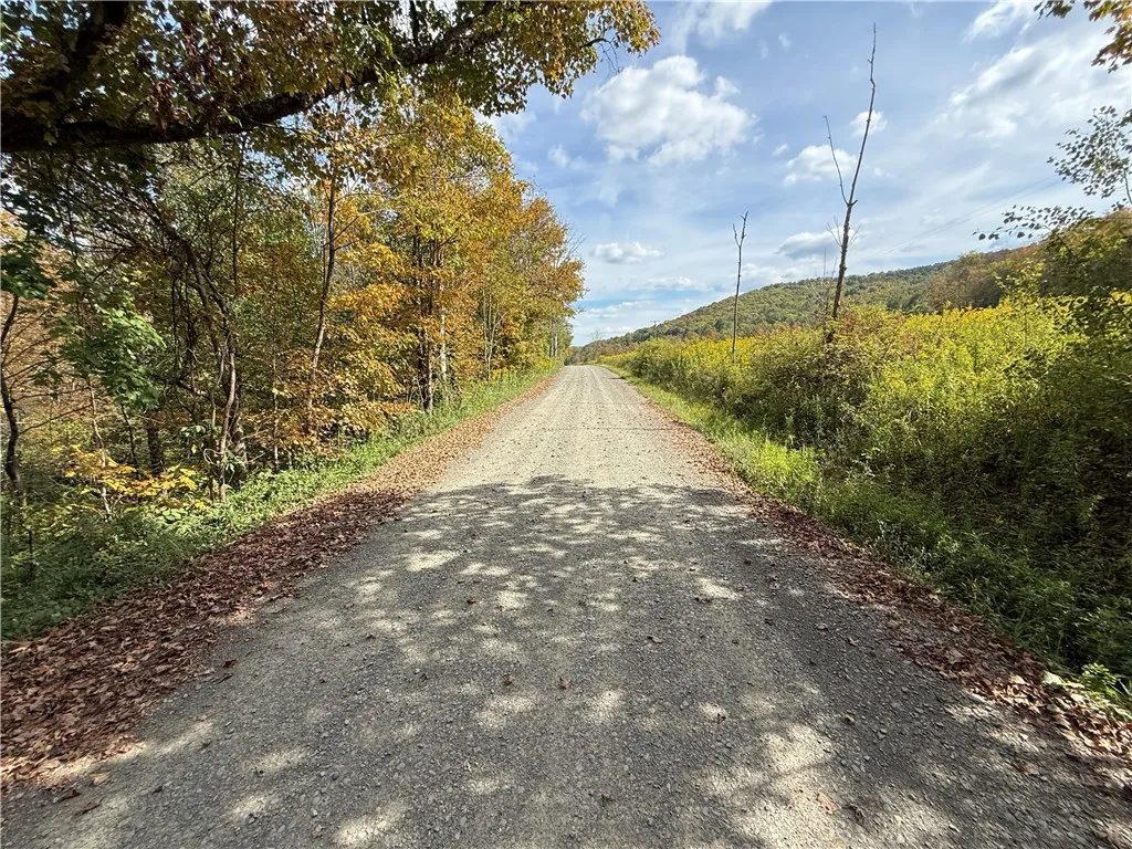 Melnyk Road, Candor, New York 13743, Candor, New York 13743, ,Land,For Sale,Melnyk Road, Candor, New York 13743,0,R1638280